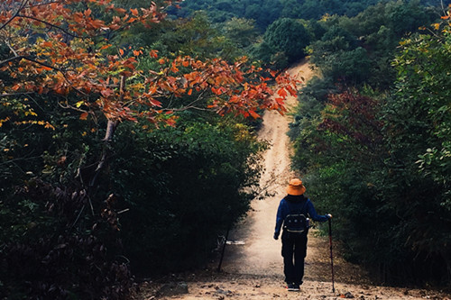 平安e生保如何理赔