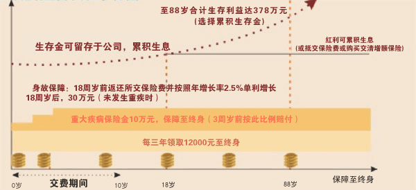 平安世紀(jì)天使少兒兩全***(分紅型)投保示例