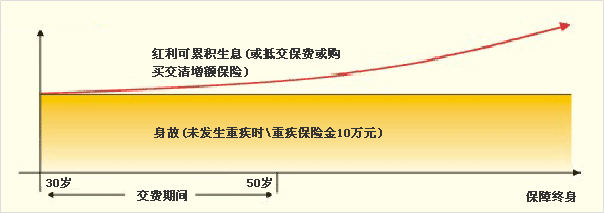 平安常青树保险计划（2007）投保示例