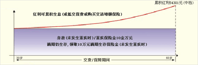 平安无忧果保险计划（2007）投保示例