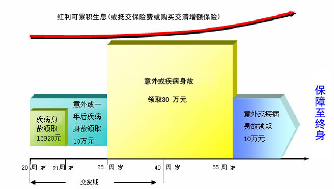 平安鸿鑫终身寿险（分红型，2004）投保示例