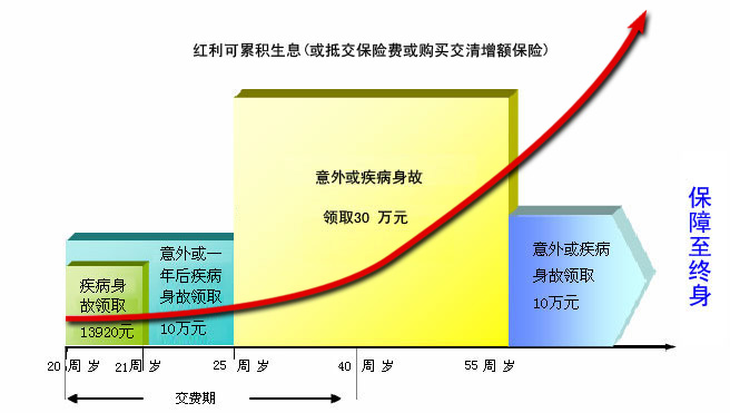 平安鸿鑫终身寿险(分红型,2004)投保示例