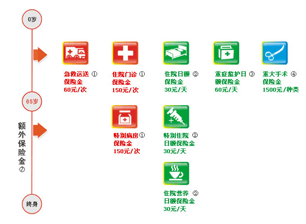平安附加守护一生终身健康保险投保示例