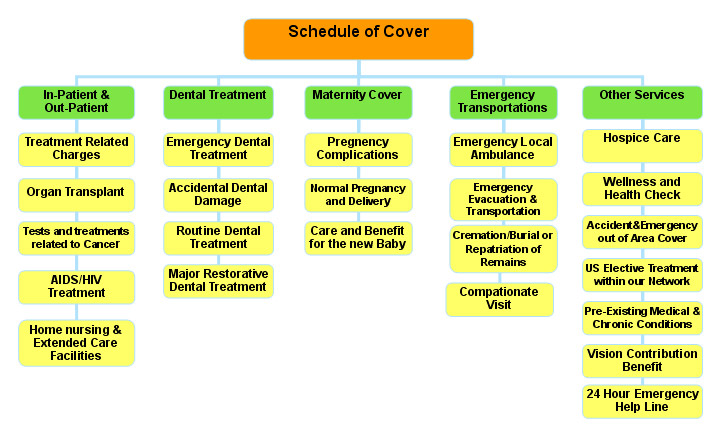 Schedule of Cover